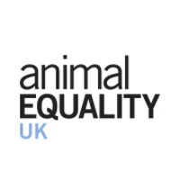 Animal Equality UK Marketing Manager