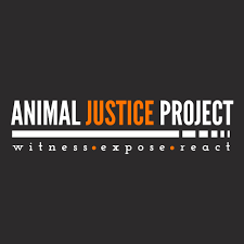 Animal Justice Project Digital Mobilisation CRM Lead