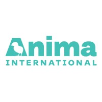 Anima International Full Stack Developer