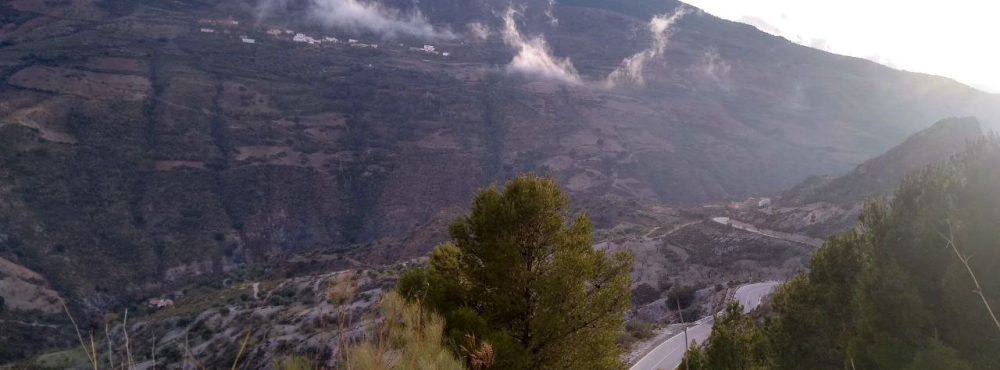 arturs.gailitis@gmail.com